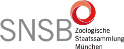 SNSB Zoologische Staatssammlung Logo